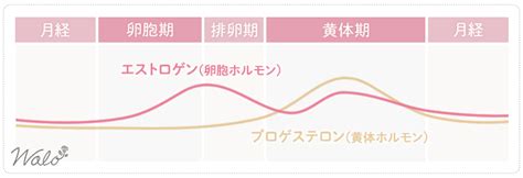 生理後は性欲が高まりやすい！理由や上手く付き合う。